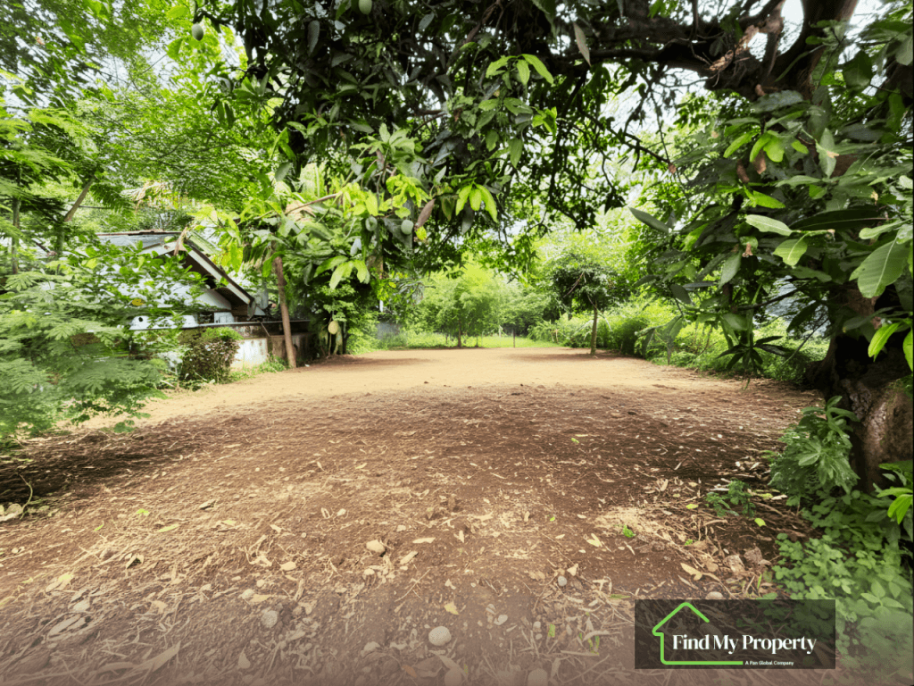 Bare Land for Sale – Nawala