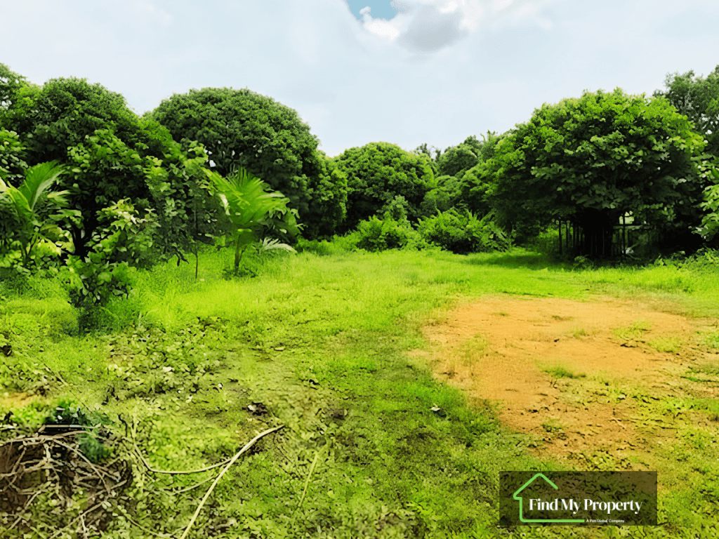 Land for Sale in Kotte